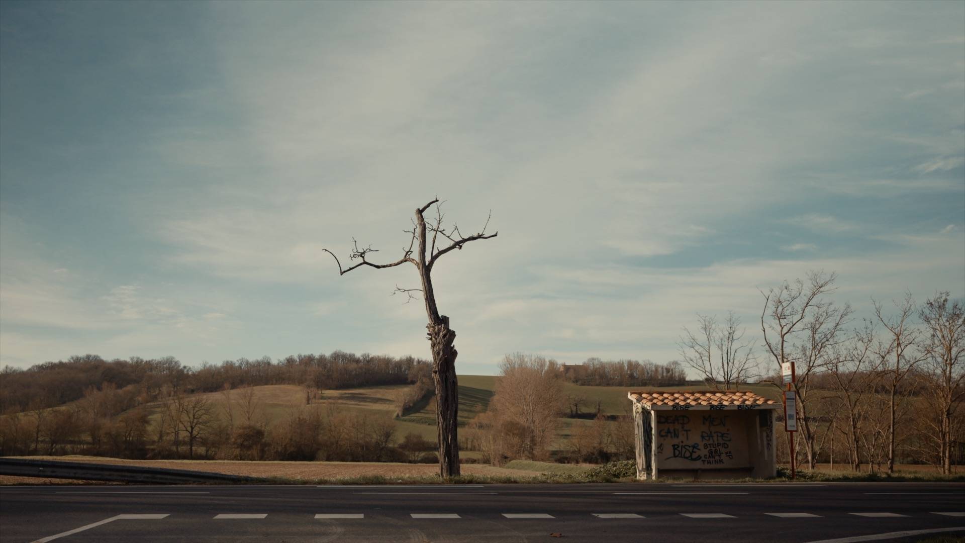 Car monde - Occitanie