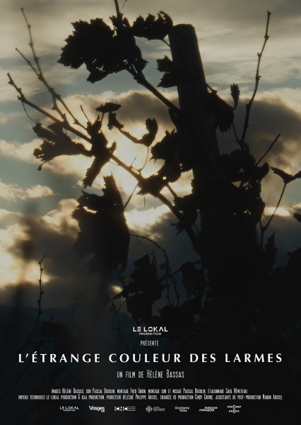 Affiche L'étrange couleur des larmes