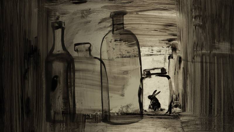 HISTOIRE DU LAPIN ET DE LA TOMATE