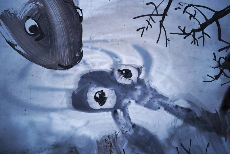 HISTOIRE DU LAPIN ET DE LA TOMATE