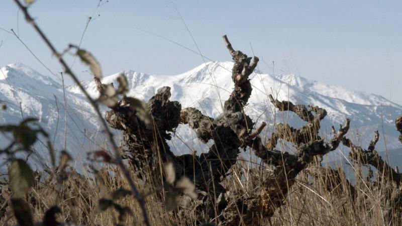 L'étrange couleur des larmes