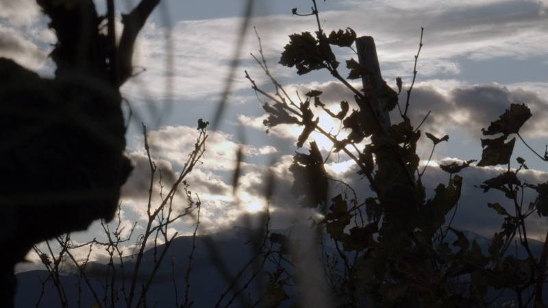 L'étrange couleur des larmes