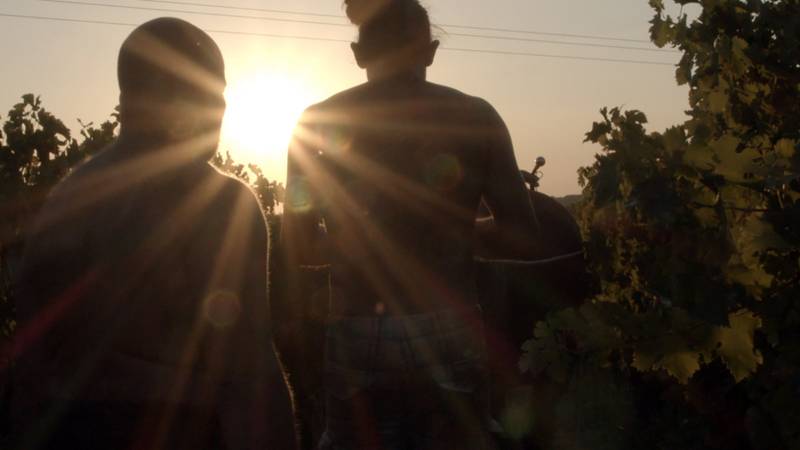 L'étrange couleur des larmes